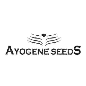 Ayogene Seeds Co
